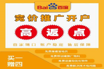 托管SEM竞价策略：行业领先企业的秘密武器